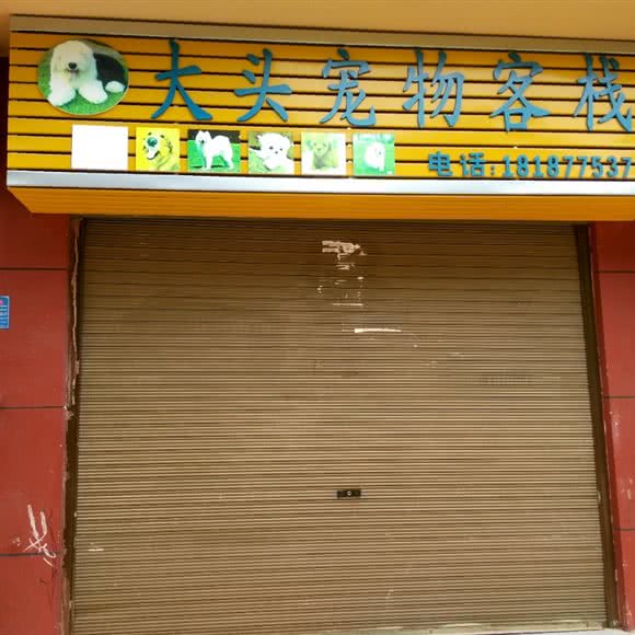 大头宠物客栈:玉溪市江川区