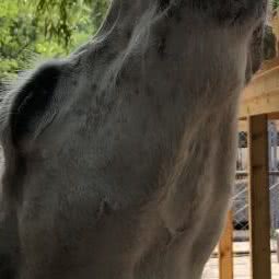 胡小甜的咖啡店:沈阳市铁西区滑翔小区附近