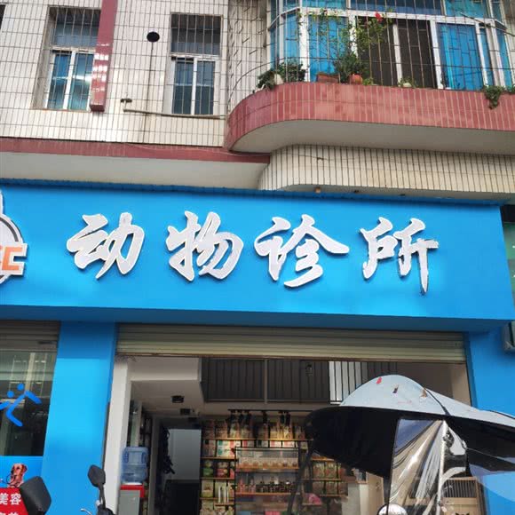 动物诊所:玉溪市通海县