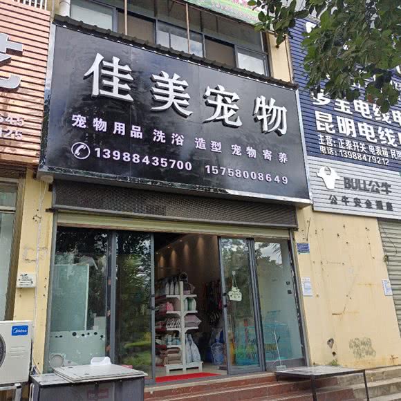 佳美宠物:玉溪市元江哈尼族彝族傣族自治县