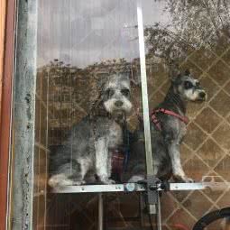 AISHANG1987:沈阳市铁西区滑翔小区附近