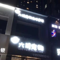 六玥宠物用品店:沈阳市铁西区保工街附近