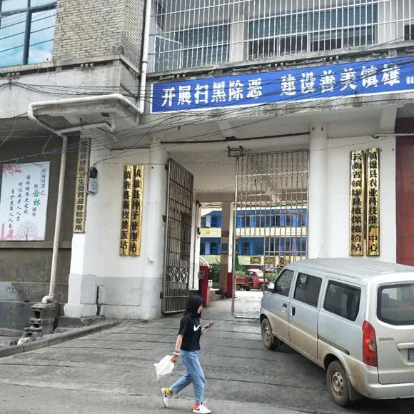 镇雄县林业兽医站:昭通市镇雄县