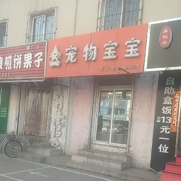 宠物宝宝(沈阳铁西店):沈阳市铁西区保工街附近