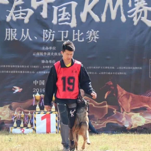 宠乐训犬工作室:丽江市古城区