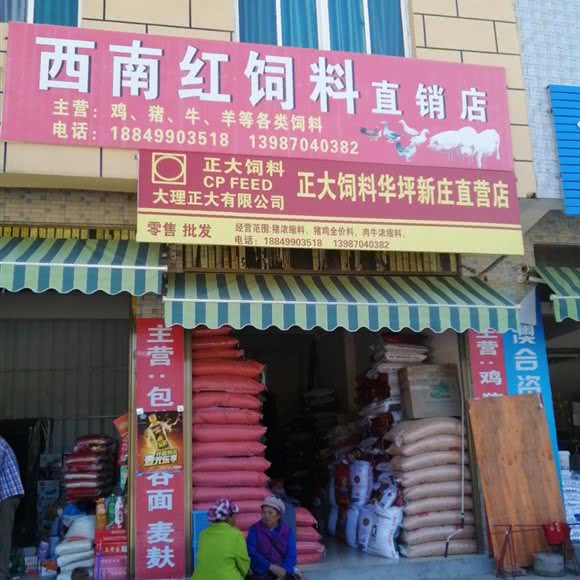 西南红饲料直销店(华坪新庄直营店):丽江市华坪县