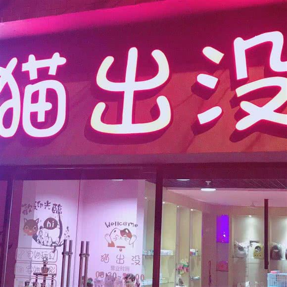 猫出没:普洱市思茅区