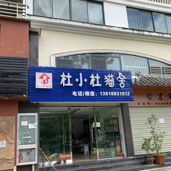 杜小杜猫舍:临沧市临翔区