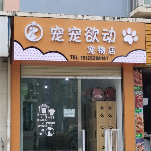 宠宠欲动宠物店:楚雄彝族自治州楚雄市