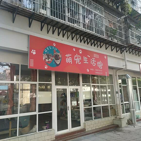 萌宠生活馆:楚雄彝族自治州楚雄市
