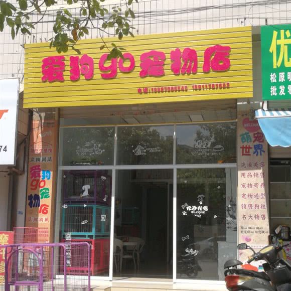 爱狗go宠物店:楚雄彝族自治州楚雄市