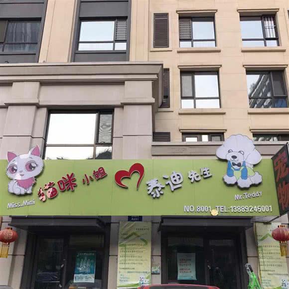 泰迪先生猫咪小姐宠物店:沈阳市铁西区保工街附近