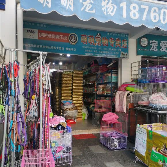 萌萌宠物专卖店(楚雄总店):楚雄彝族自治州楚雄市