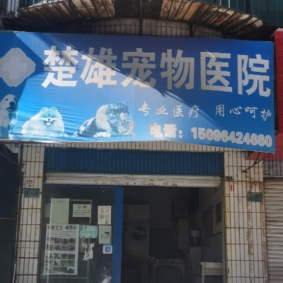 楚雄宠物医院:楚雄彝族自治州楚雄市