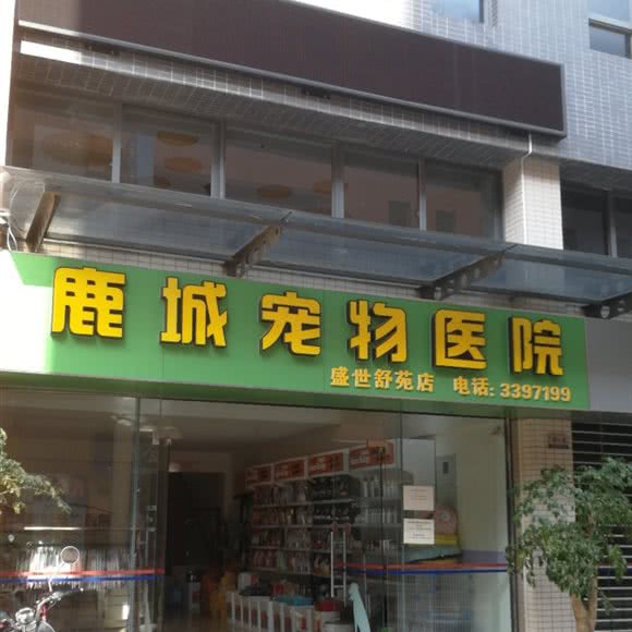 鹿城宠物医院(盛世舒苑店):楚雄彝族自治州楚雄市