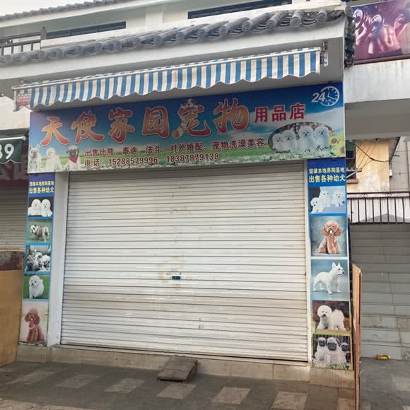 天使家园宠物诊所:楚雄彝族自治州楚雄市