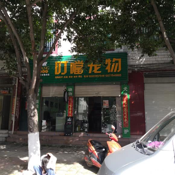 叮噹宠物:楚雄彝族自治州禄丰市