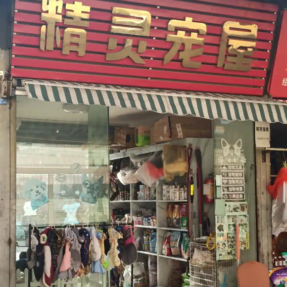 精灵宠屋:红河哈尼族彝族自治州个旧市