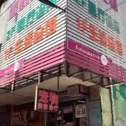 雪野宠物医疗诊所:沈阳市铁西区保工街附近