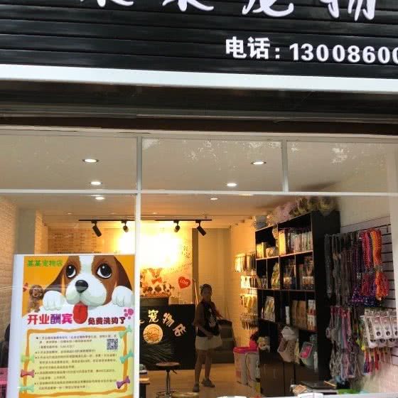 某某宠物店:红河哈尼族彝族自治州蒙自市