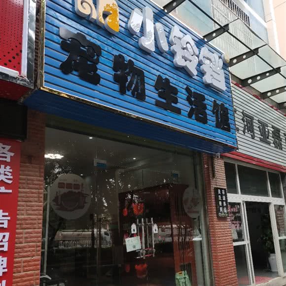 小铃铛宠物生活馆:红河哈尼族彝族自治州蒙自市