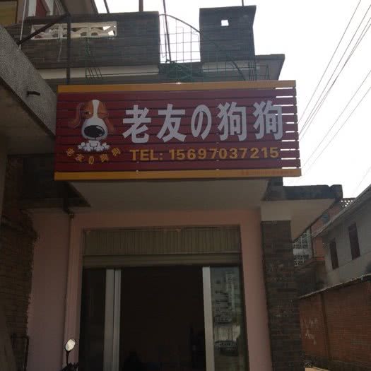 老友の狗狗:红河哈尼族彝族自治州蒙自市