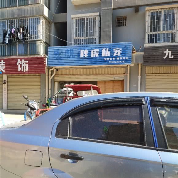 胖虎私宠:红河哈尼族彝族自治州蒙自市