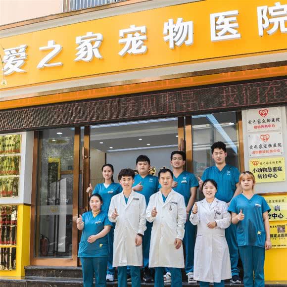 爱之家24小时营业的宠物医院(蒙自店):红河哈尼族彝族自治州蒙自市