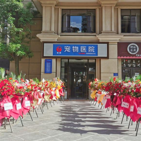 佳辰宠物医院:红河哈尼族彝族自治州弥勒市