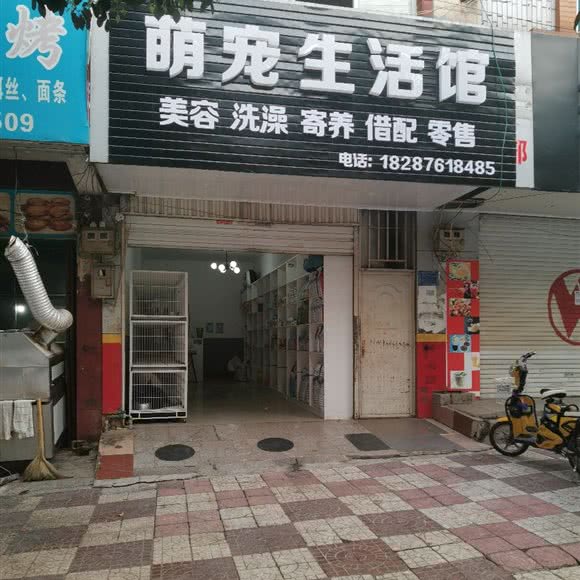 萌宠生活馆:文山壮族苗族自治州文山市