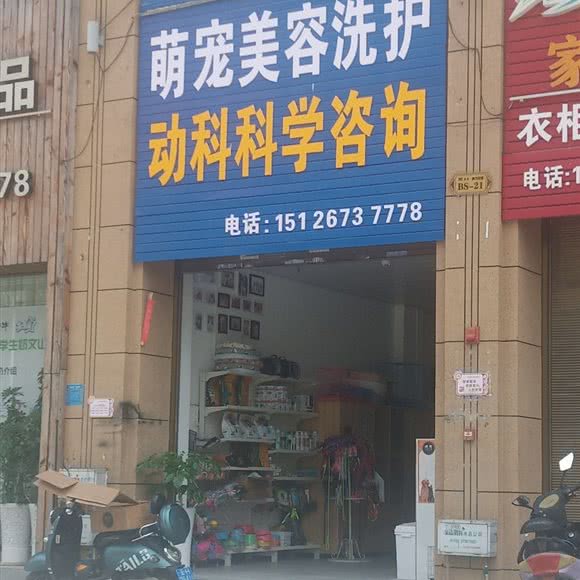 萌宠美容洗护:文山壮族苗族自治州文山市