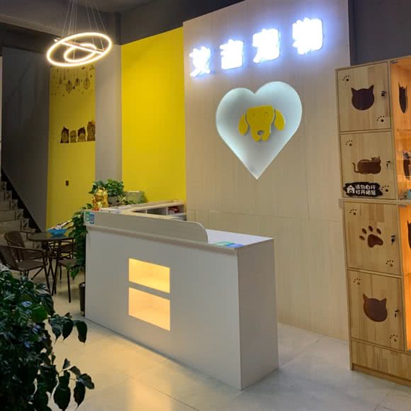 艾吉狗狗:文山壮族苗族自治州文山市