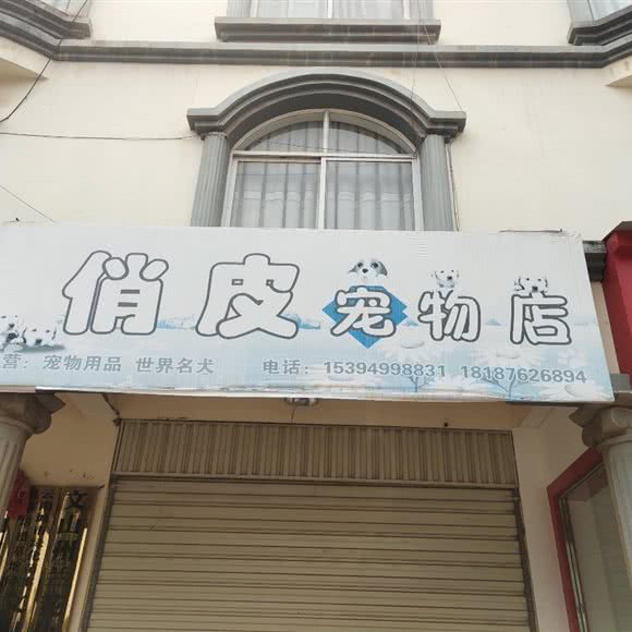 甜美宠物生活会馆:文山壮族苗族自治州文山市