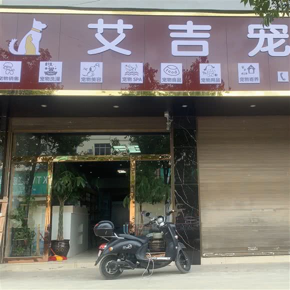 艾吉宠物:文山壮族苗族自治州文山市