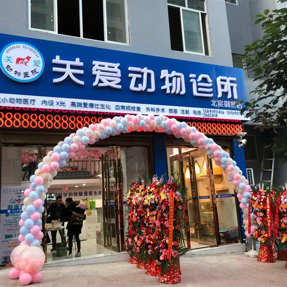 关爱动物诊所:文山壮族苗族自治州文山市