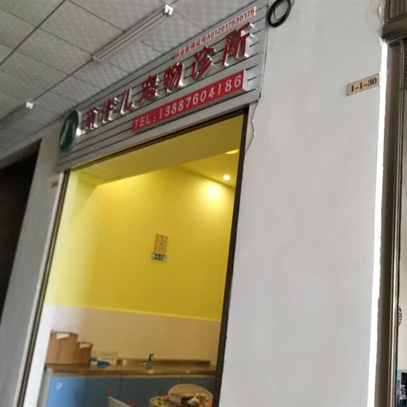 萌伴儿宠物诊所:文山壮族苗族自治州文山市