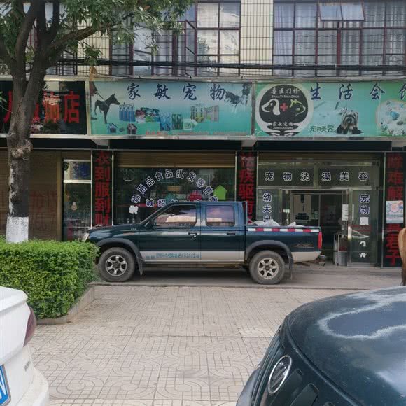 家敏宠物生活馆:文山壮族苗族自治州砚山县