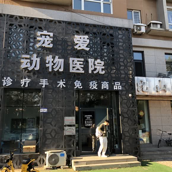 宠爱动物医院店:沈阳市铁西区兴隆大都汇附近