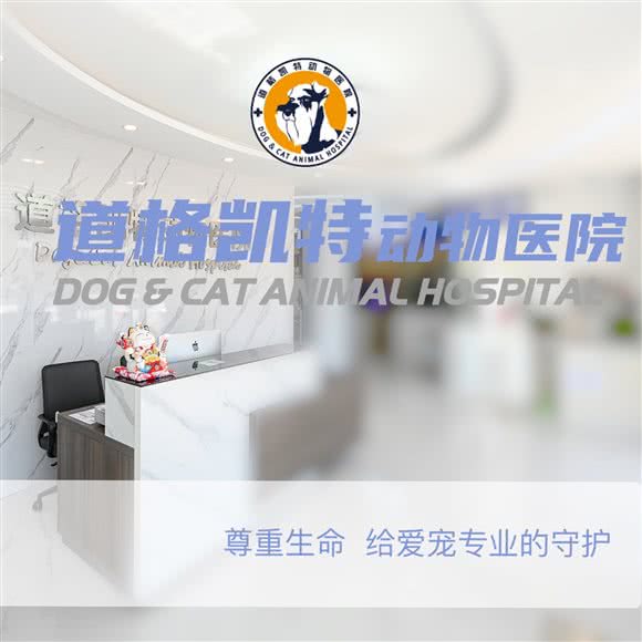 道格凯特动物医院:沈阳市铁西区兴隆大都汇附近