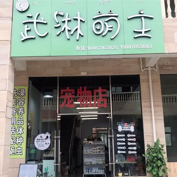 武淋萌主宠物店:西双版纳傣族自治州景洪市