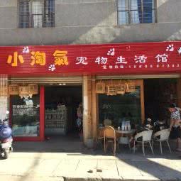 小淘气宠物生活馆:西双版纳傣族自治州勐海县