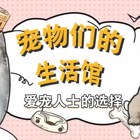 萌宠社区:大理白族自治州大理市