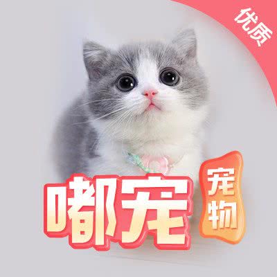 大理市嘟宠宠物店:大理白族自治州大理市