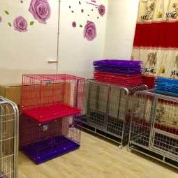 萌恋宠物:大理白族自治州大理市