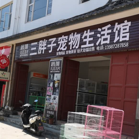 爵加三胖子宠物生活馆:大理白族自治州大理市