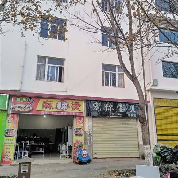 宠你宝贝宠物园:大理白族自治州大理市