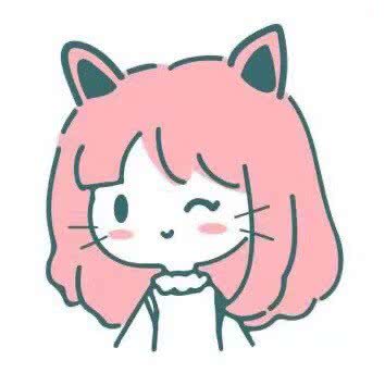 阿桃与猫CAT HOTEL:大理白族自治州大理市