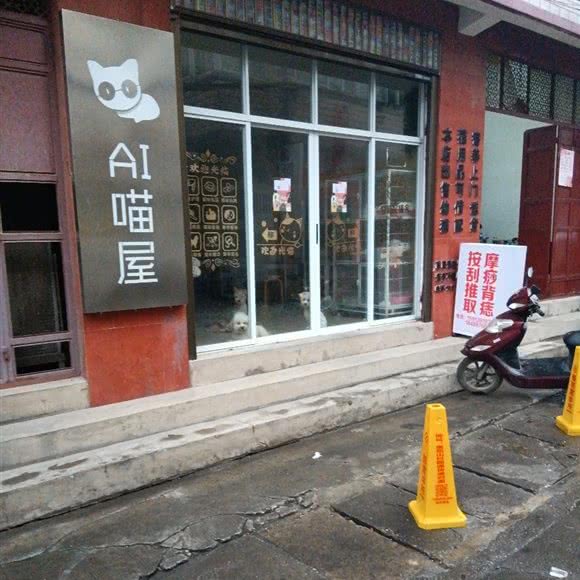 人工智能喵屋:大理白族自治州大理市