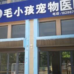 毛小孩宠物医院:大理白族自治州大理市
