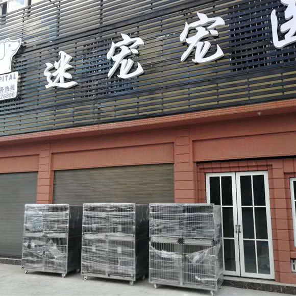 迷宠宠医:大理白族自治州大理市